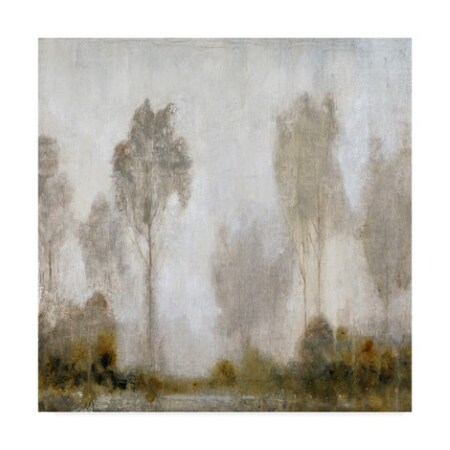 Tim Otoole 'Misty Marsh I' Canvas Art,14x14